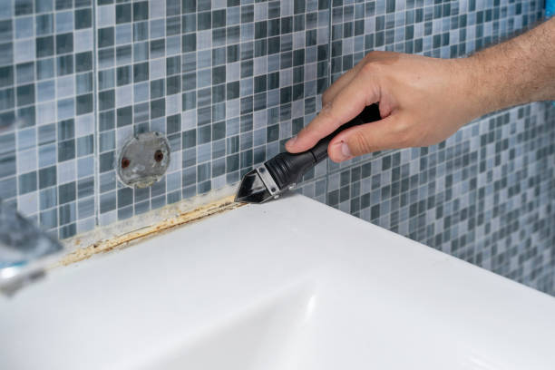 Best DIY Mold Remediation Support Services in Sandia Knolls, NM